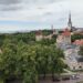 A view of the rooftops in Tallinn